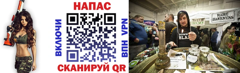 купить   Оса  Бошки марихуана ГИДРОПОН 